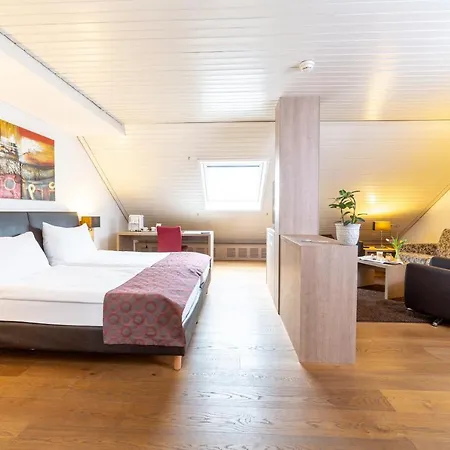 Alexander Hotel Basel