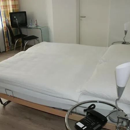 Budget Alexander Hotel