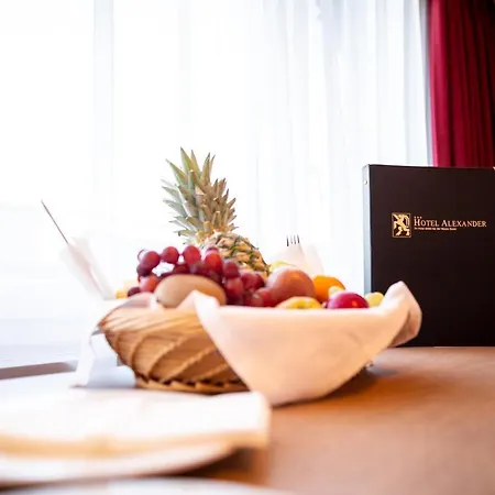 Budget Alexander 3* Basel