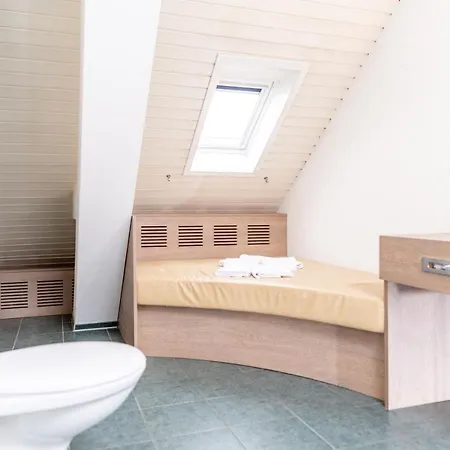 Budget Alexander Hotel 3*